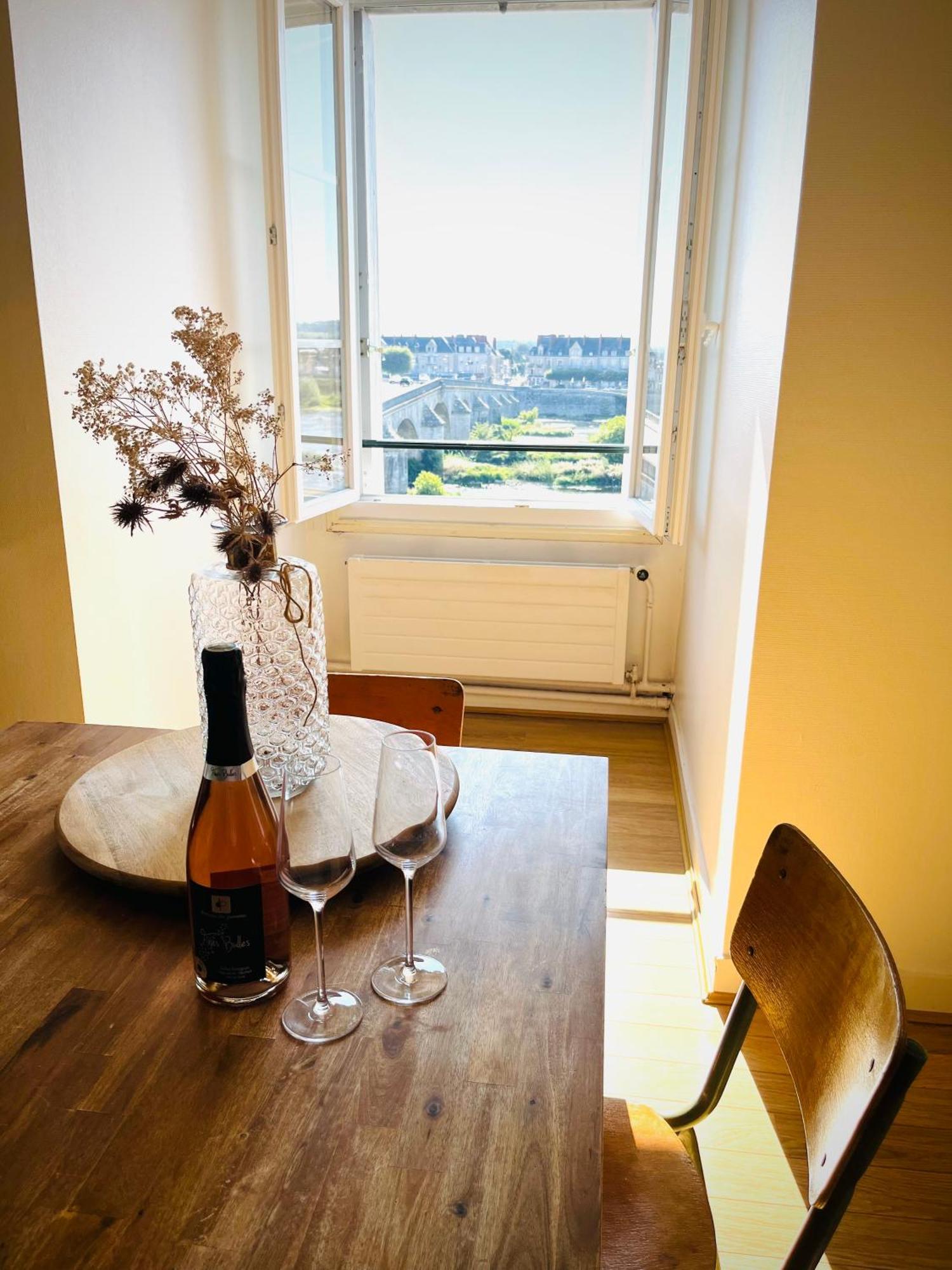 Blois, Vue Panoramique Loireアパートメント エクステリア 写真